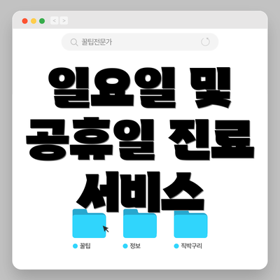 일요일 및 공휴일 진료 서비스