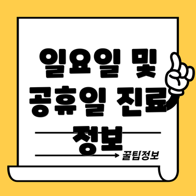 일요일 및 공휴일 진료 정보