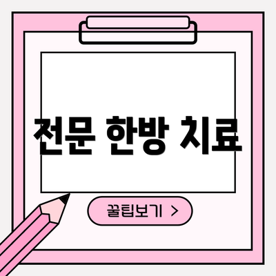 전문 한방 치료