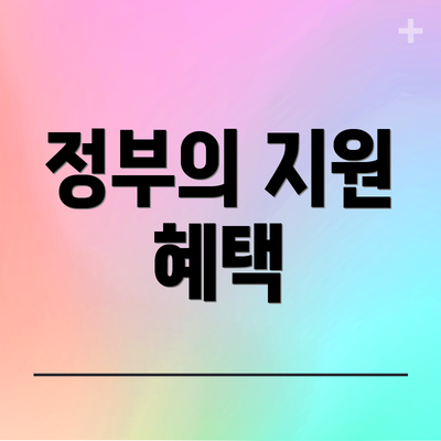 정부의 지원 혜택