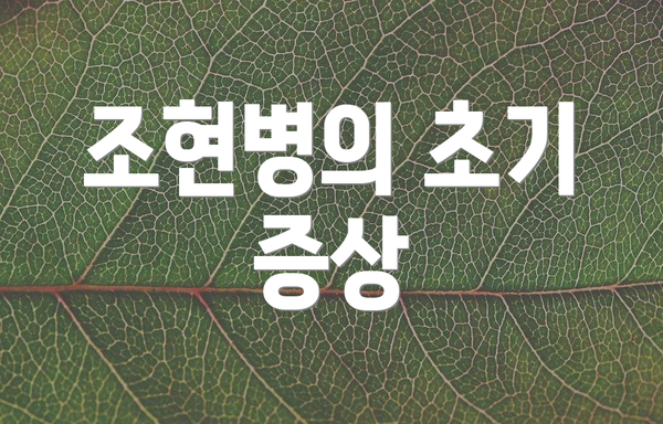 조현병의 초기 증상