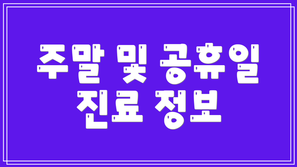 주말 및 공휴일 진료 정보