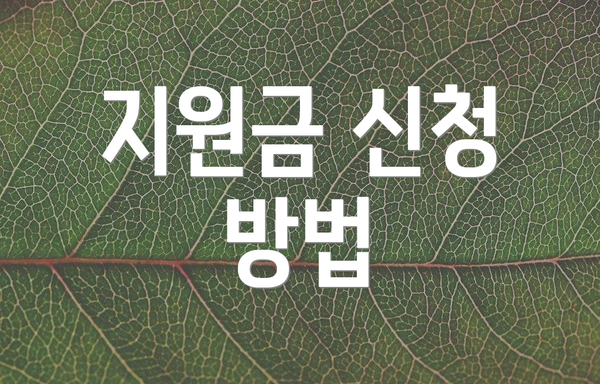 지원금 신청 방법