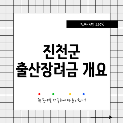 진천군 출산장려금 개요