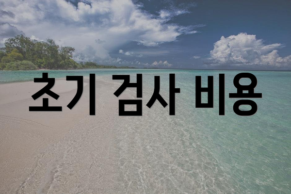 초기 검사 비용