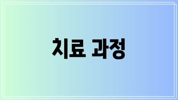 치료 과정