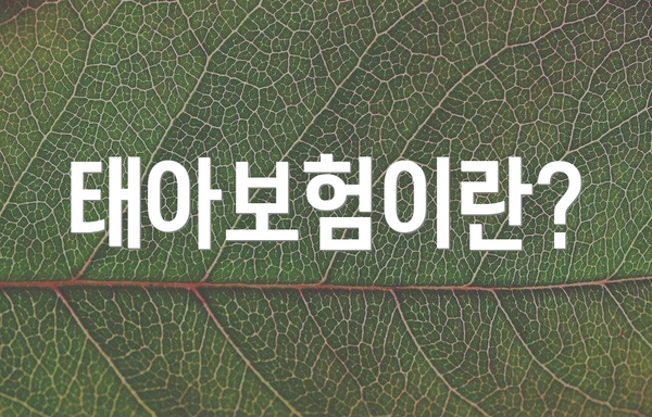 태아보험이란?