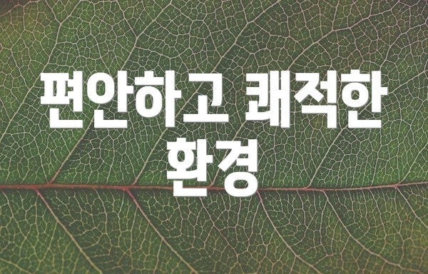 편안하고 쾌적한 환경
