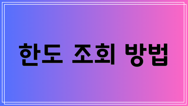 한도 조회 방법