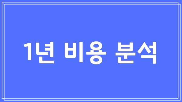 1년 비용 분석
