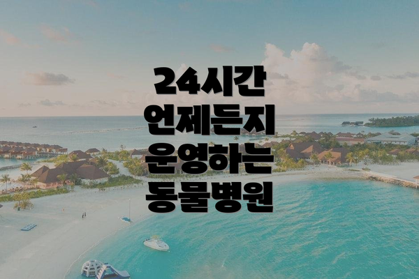 24시간 언제든지 운영하는 동물병원
