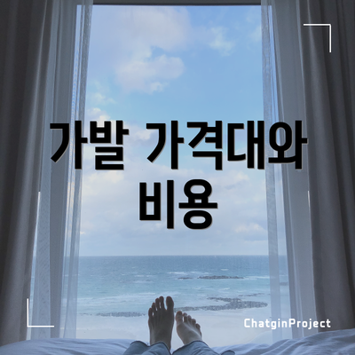 가발 가격대와 비용