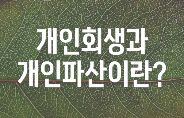 개인회생과 개인파산이란?