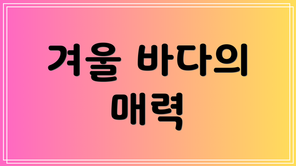 겨울 바다의 매력