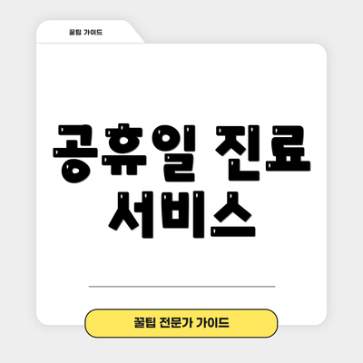 공휴일 진료 서비스