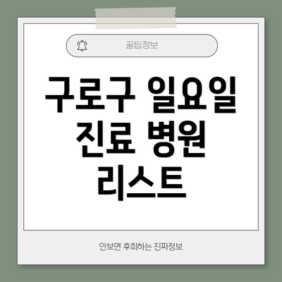 구로구 일요일 진료 병원 리스트