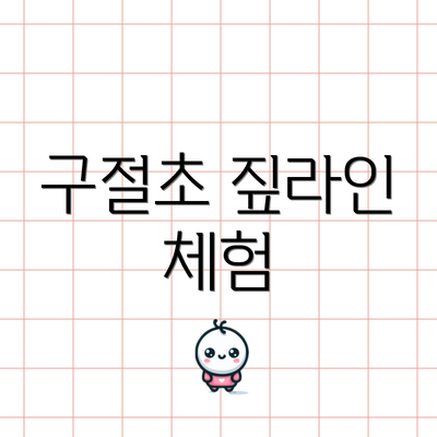 구절초 짚라인 체험