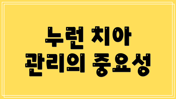 누런 치아 관리의 중요성