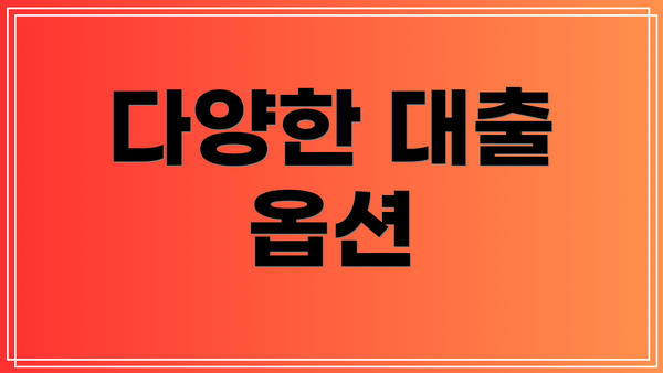 다양한 대출 옵션
