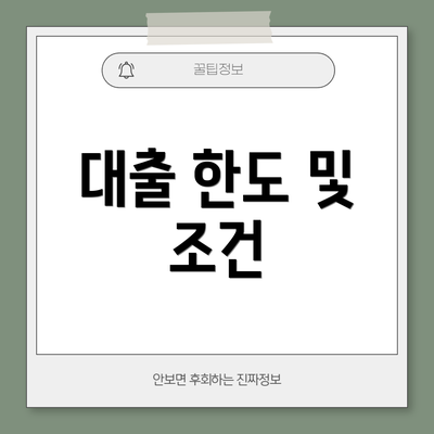 대출 한도 및 조건