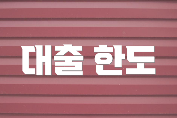 대출 한도