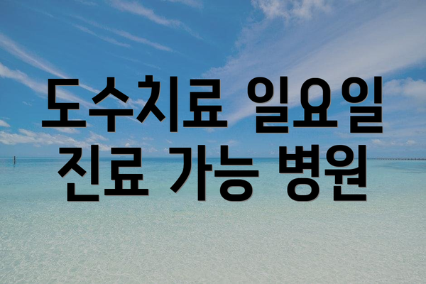 도수치료 일요일 진료 가능 병원