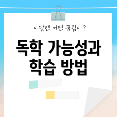 독학 가능성과 학습 방법