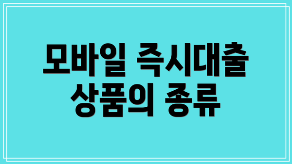 모바일 즉시대출 상품의 종류