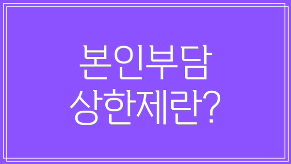 본인부담 상한제란?