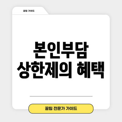 본인부담 상한제의 혜택