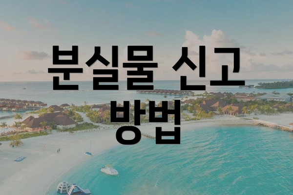 분실물 신고 방법
