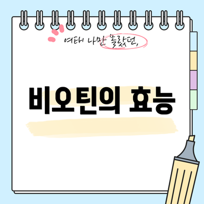 비오틴의 효능