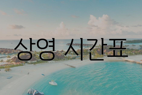 상영 시간표