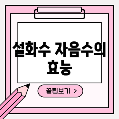 설화수 자음수의 효능
