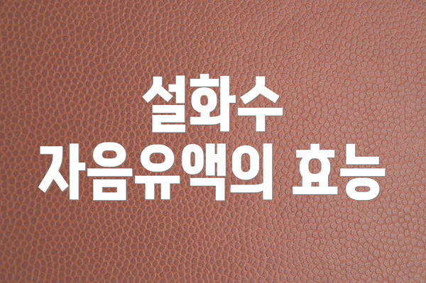 설화수 자음유액의 효능