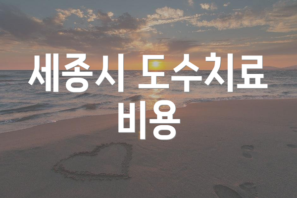 세종시 도수치료 비용