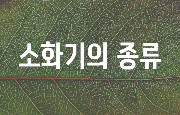 소화기의 종류