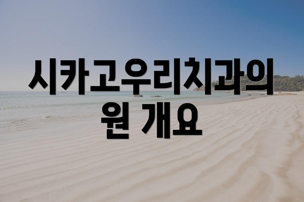 시카고우리치과의원 개요