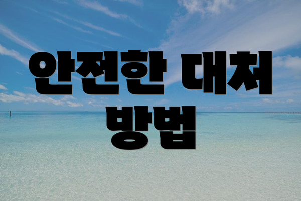 안전한 대처 방법