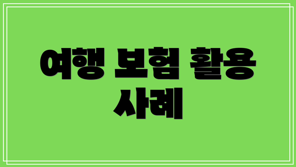 여행 보험 활용 사례