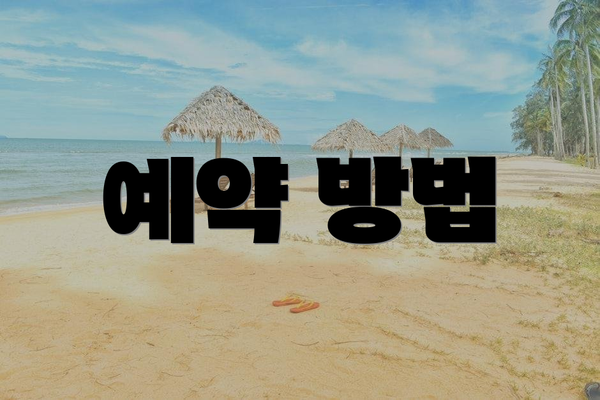 예약 방법