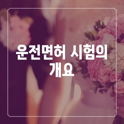 운전면허 시험의 개요