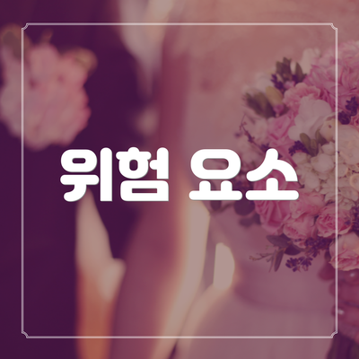 위험 요소