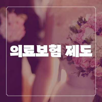의료보험 제도
