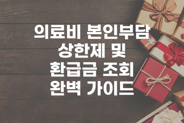 의료비 본인부담 상한제 및 환급금 조회 완벽 가이드