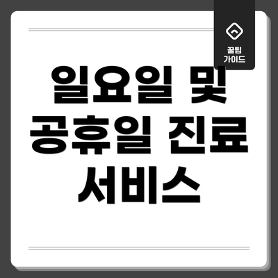 일요일 및 공휴일 진료 서비스