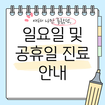 일요일 및 공휴일 진료 안내