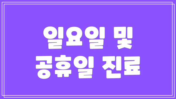 일요일 및 공휴일 진료