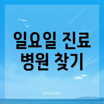 일요일 진료 병원 찾기