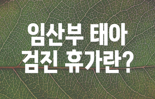 임산부 태아 검진 휴가란?